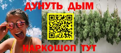 гидра Майкоп